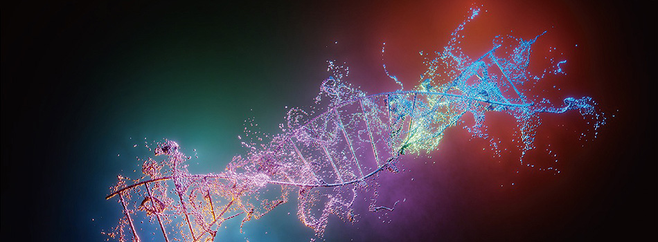 Recombinant Protein Expression