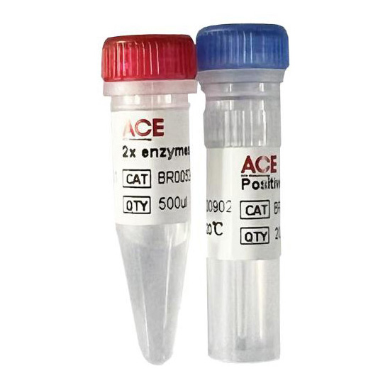 DNA Assembly Cloning Kit