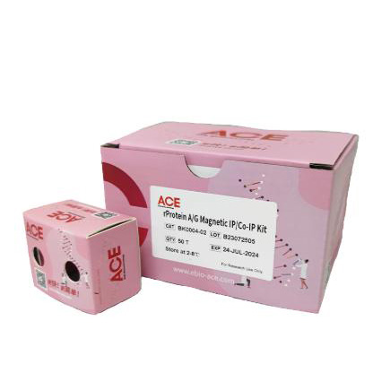 rProteinA/G MagPoly Beads