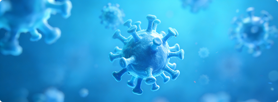 AAV&LV Packaging Services