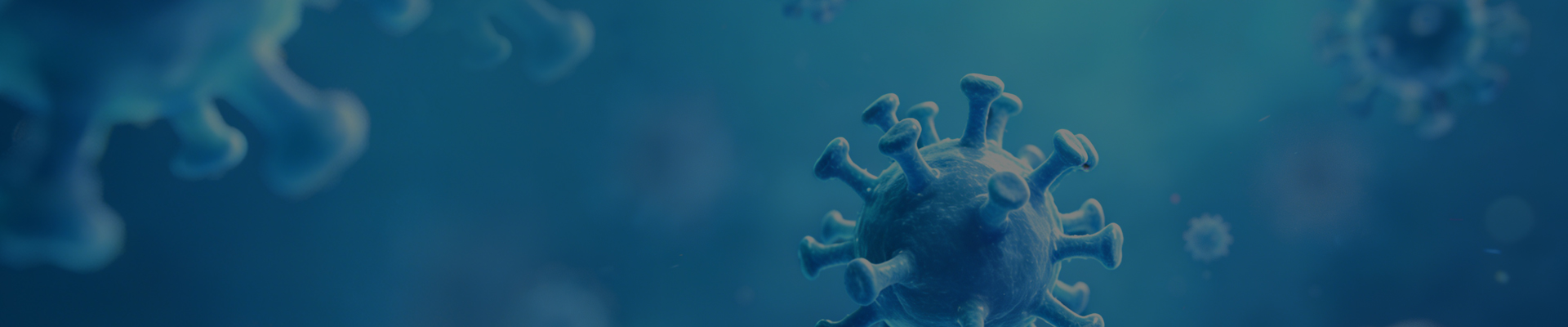 AAV&LV Packaging Services