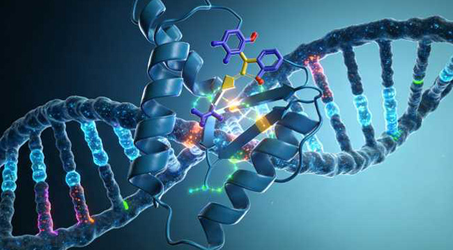 Biomolecular Interactions