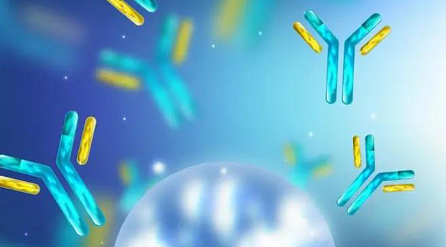 Antigens & Antibodies