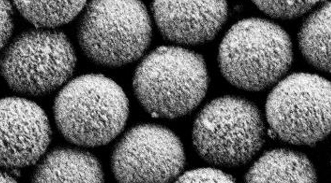 Diagnostic  Microspheres