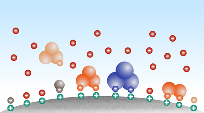 Ion Exchange Chromatography
