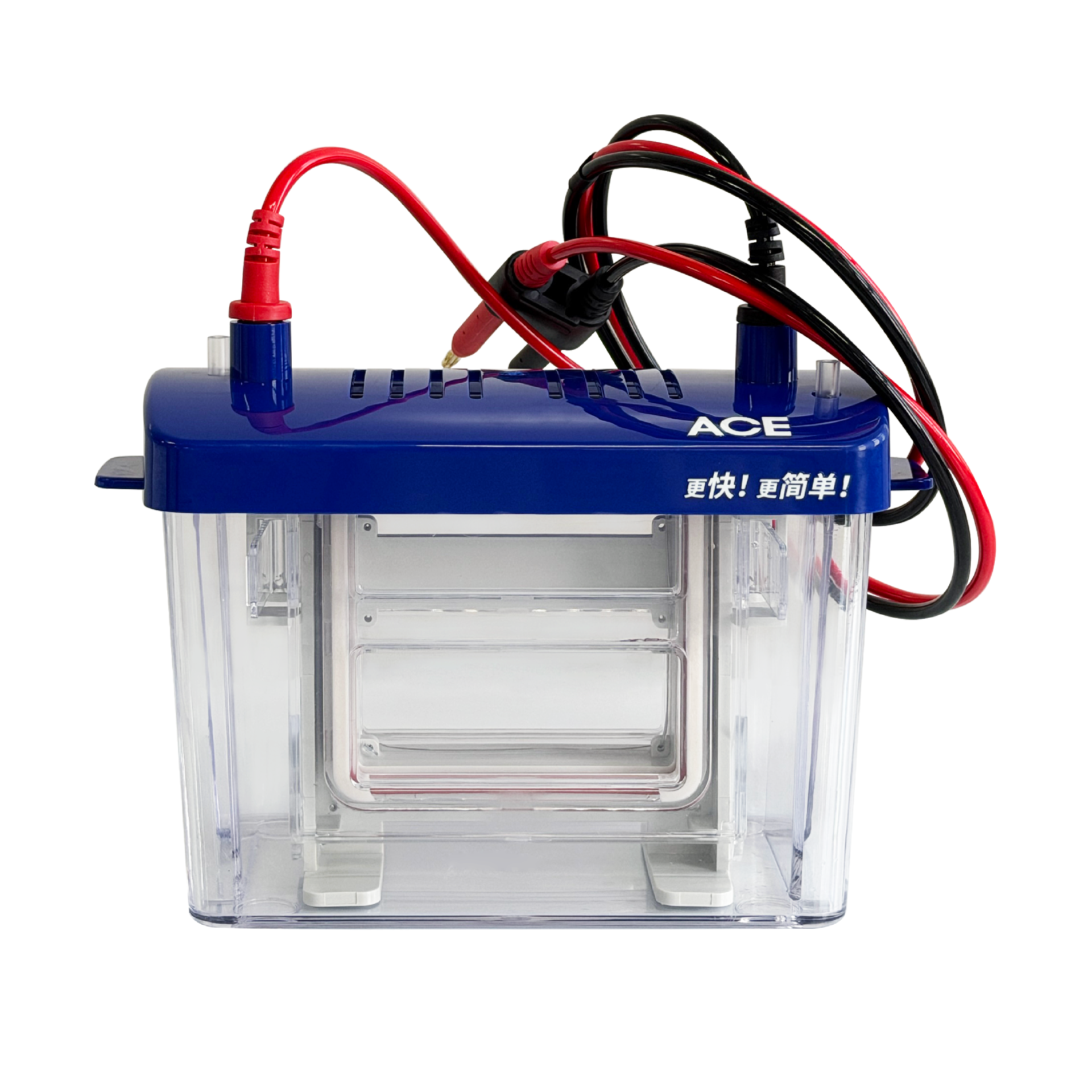 EasyVert Mini Gel Electrophoresis Tank