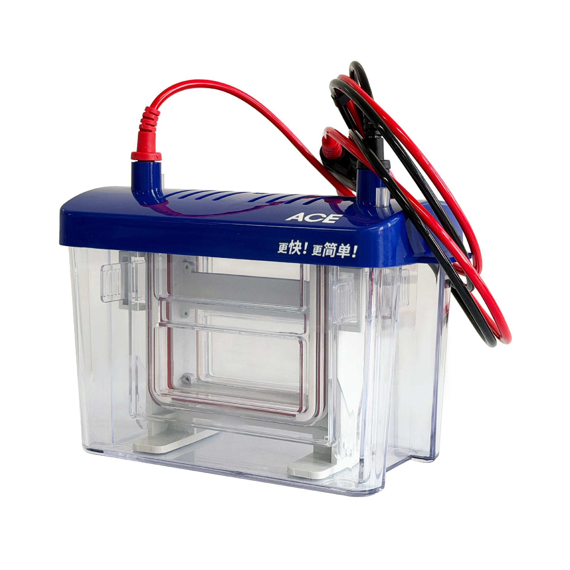 EasyVert Mini Gel Electrophoresis Tank